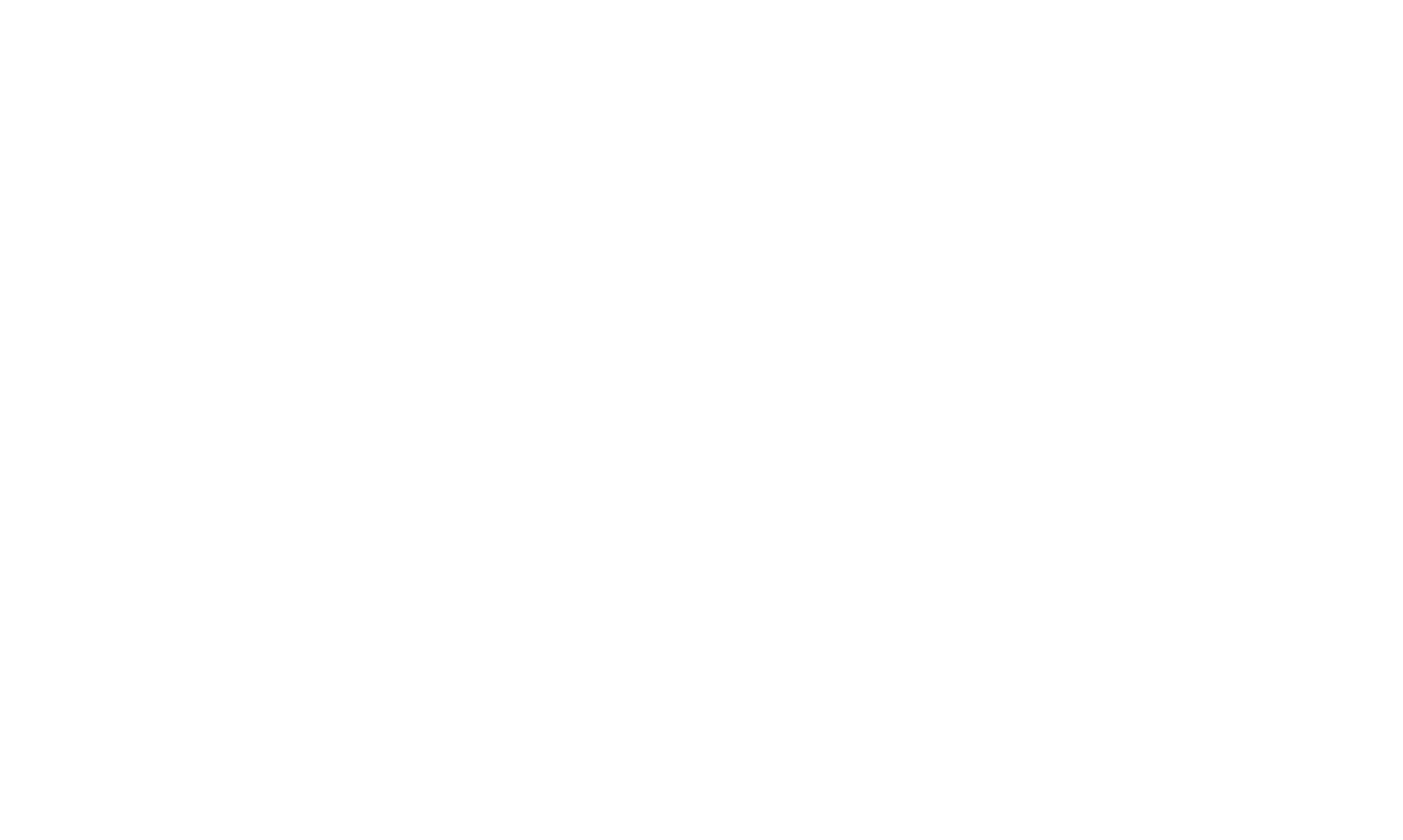 Network Digital Solutions Logo